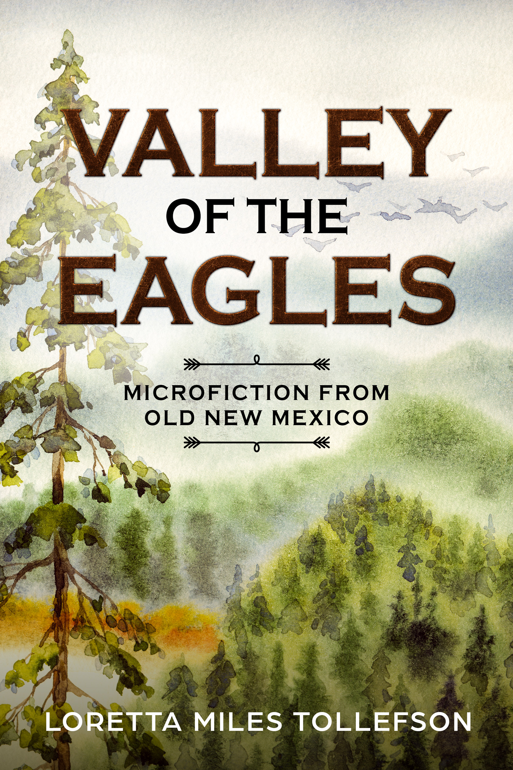 Valley ebook cover reprise.final